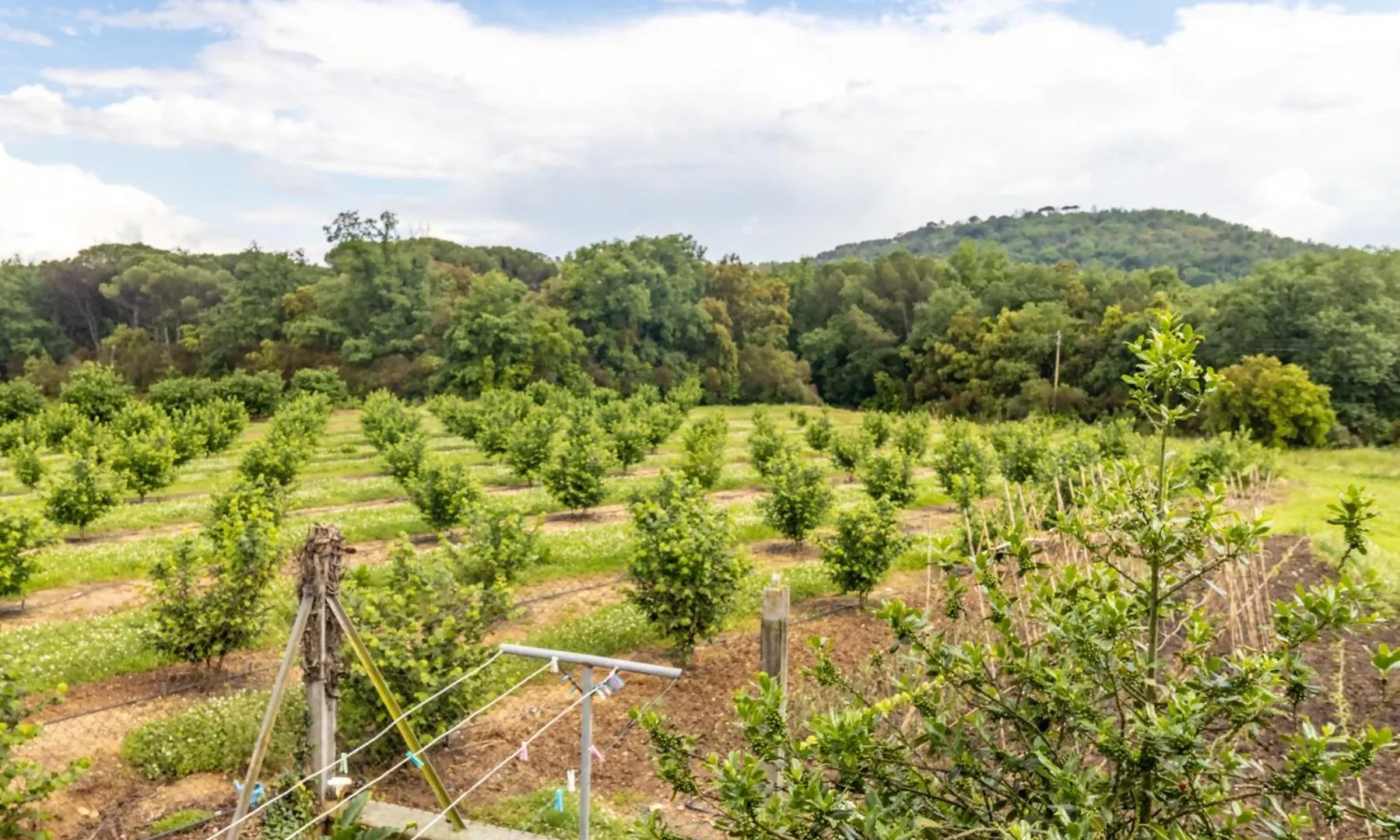 Can Pons De Dalt Casa Rural A La Selva Girona Feriehus